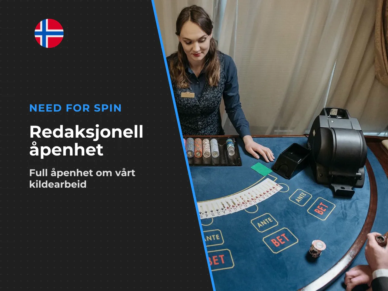 Vedlegg A redaksjonelle presiseringer. For åpenhet