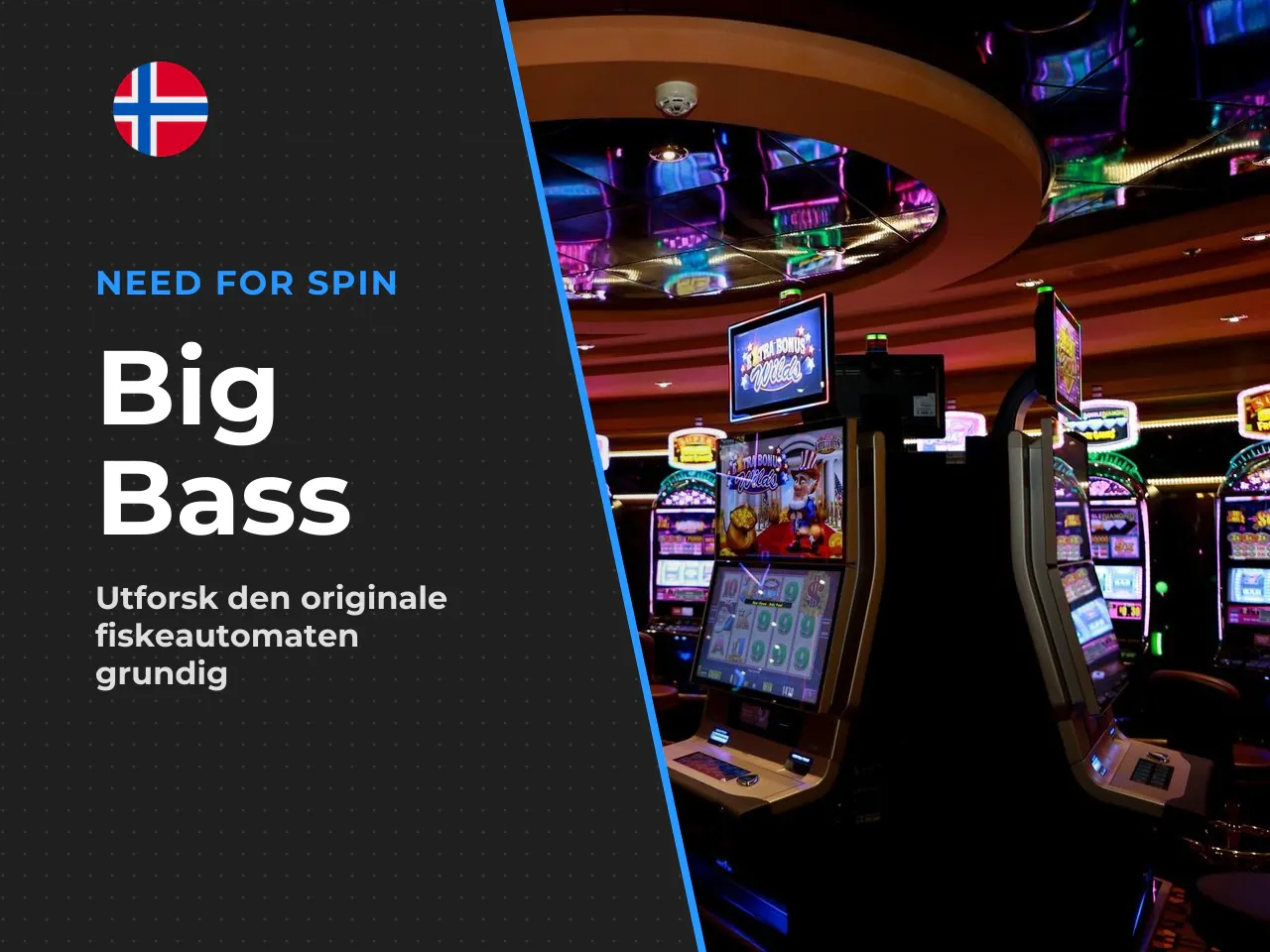 Utvikleren Pragmatic Play og spillets plass