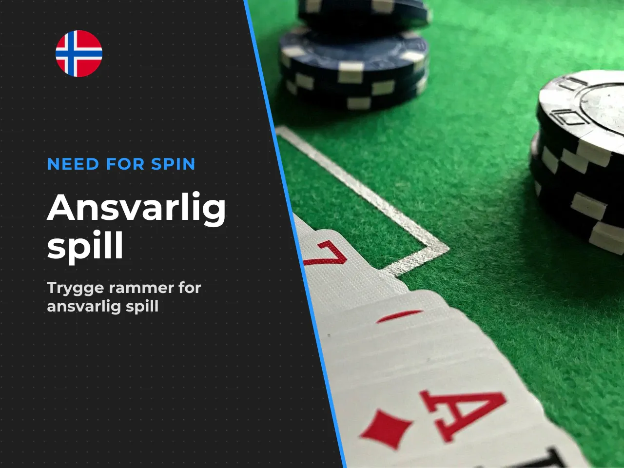Kildehenvisninger og faglig fundament. - SPILLFORSK